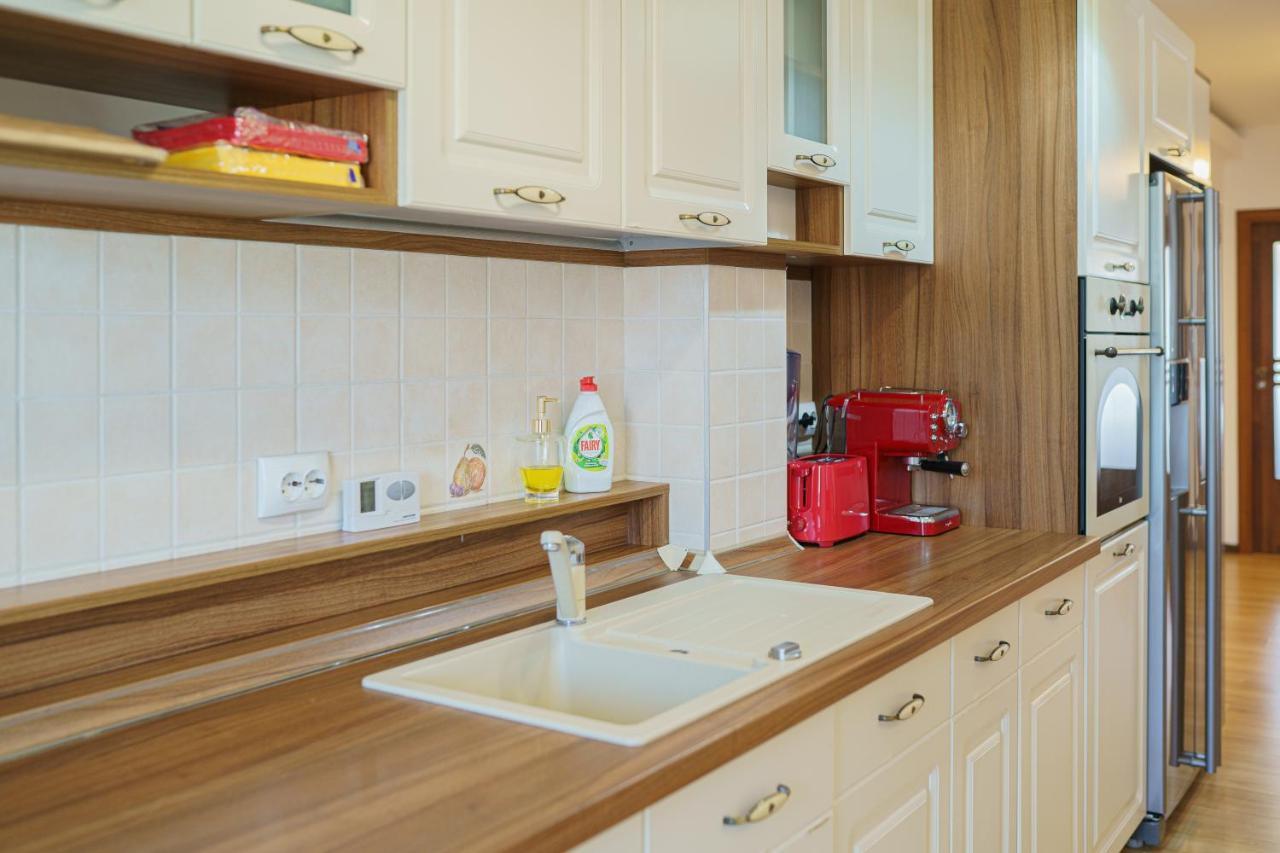 קלוז'-נאפוקה 5* Mansion In City Center מראה חיצוני תמונה